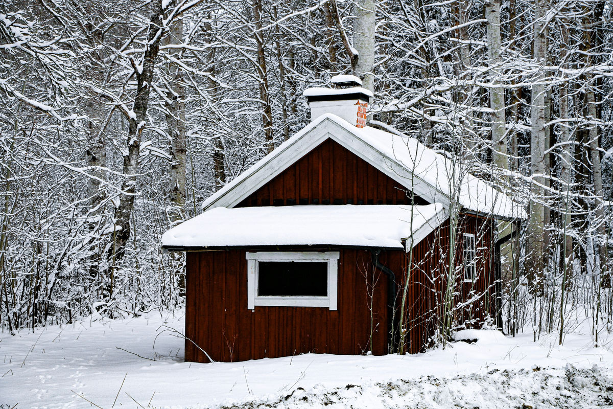 Röd stuga i en snöig skog
